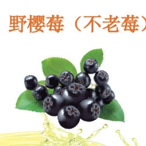 夜樱莓（不老莓）